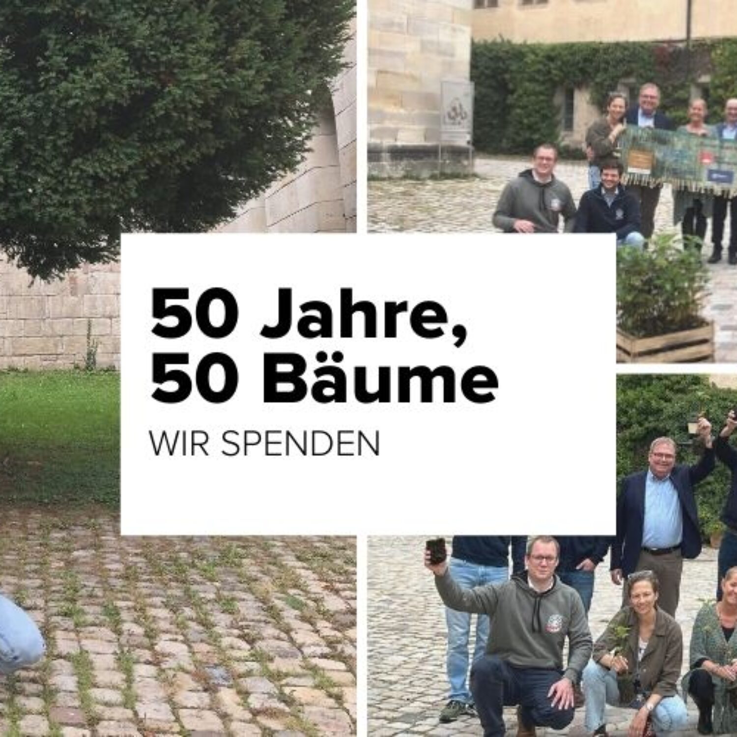 Beitragsbild Baumspende Schönbuch 2022